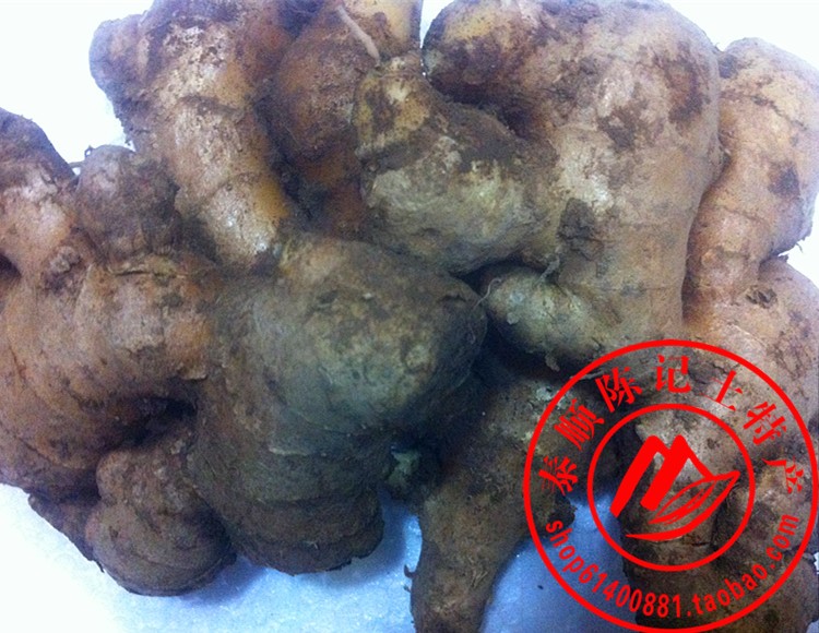 Wenzhou Tai Shun Chen Kee Native Farmhouse Self Planted Ginger Old Ginger Ginger Ginger Maiden Ginger Maiden Ginger Small Yellow Ginger Ginger Small Yellow Ginger Ginger