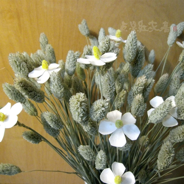 (True Color Gem Grass) Pastoral Floor Flower Arrangement New Year New Goods Natural Air-dried Gem Grass Art Dry Flower Arrangement