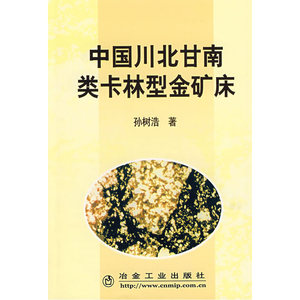 中国川北甘南类卡林型金矿床孙树浩