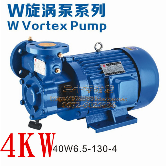 Open Ley W Swirl pump 4KW straight United pump clear water single-stage whirlpool cycle gang Pump Boiler Booster Pump High Lift Centrifugal Pump