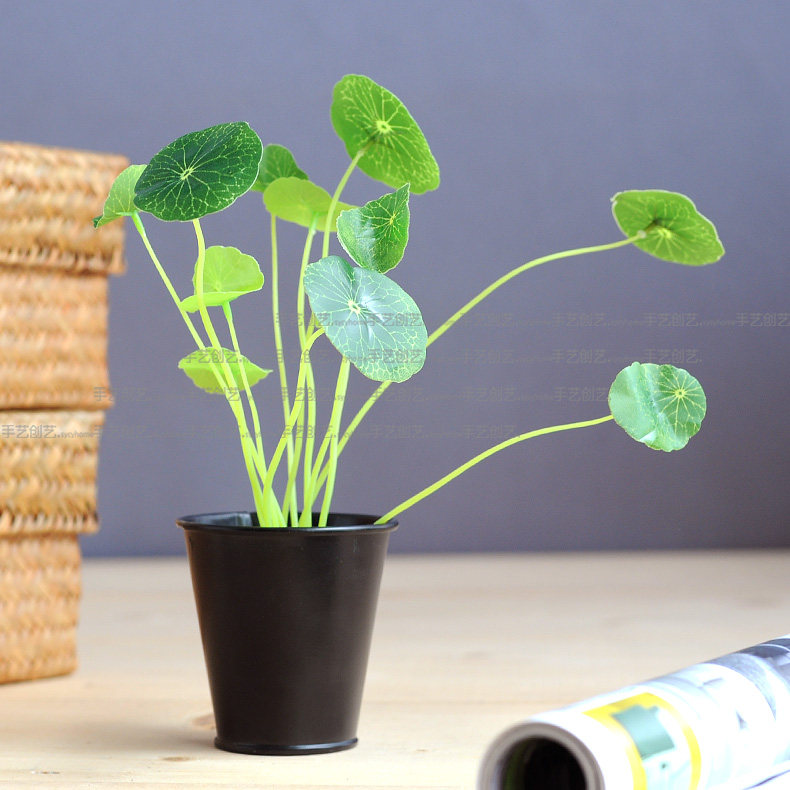 ���մ�������С������Ͱt-003001