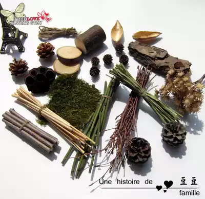 (Special offer every day)Pine cones, dried flowers, rabbit tail grass, forest set, Taobao shop photography props, round wood chips, shower