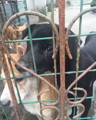 One seven three living area five miles (not for sale for display only)