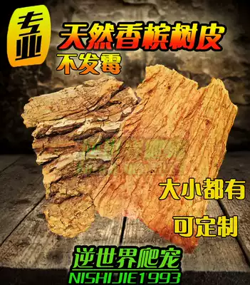 Champagne bark acrylic reptile cage feeding box landscaping lizard pet fire rose Spider to avoid climbing