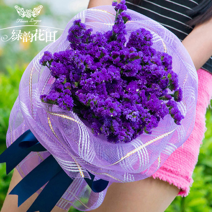 紫色勿忘我毕业花束鲜花速递生日礼品北京上海深圳同城花店配送花