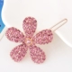 Hàn Quốc clip hàng đầu Liu bên bờ biển clip phụ kiện tóc rhinestone clip tóc hoang dã kẹp tóc đuôi ngựa clip nữ tiara kẹp tóc trang sức - Phụ kiện tóc băng đô con ếch Phụ kiện tóc