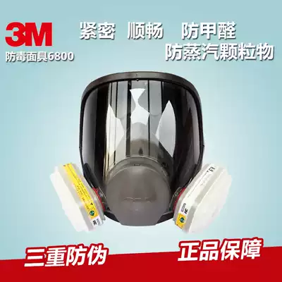 3M 6800 protective mask protection comprehensive gas cover spray paint need to be used with filter box