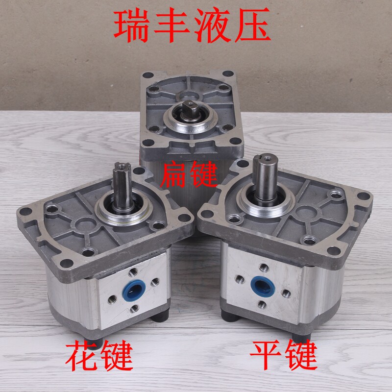 Hydraulic gear pump oil pump CBN-E304306310314316320325 High pressure pump CBT-F
