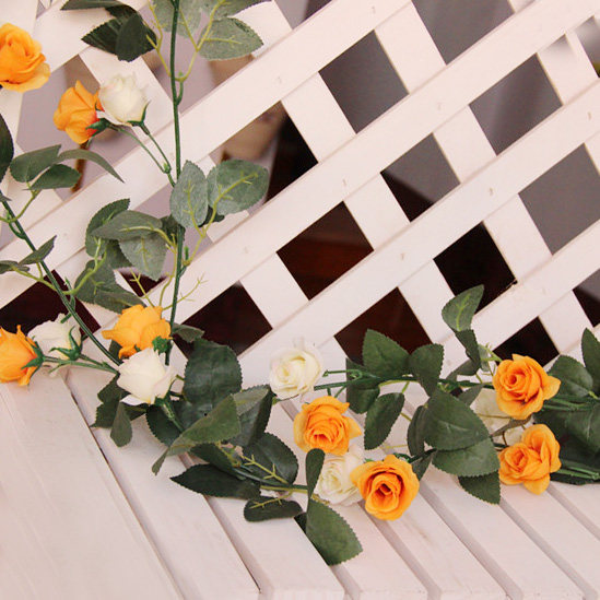 ������ɫõ���ٷ��滨��ɫõ����