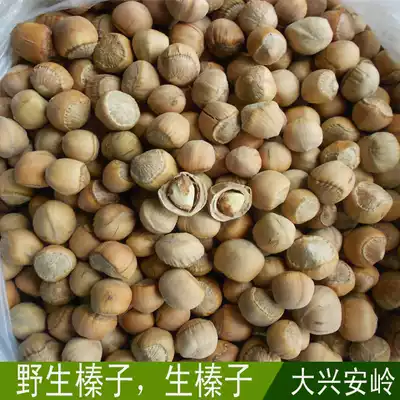 Northeast specialty hazelnut Daxinganling wild hazelnut raw hazelnut 3 servings