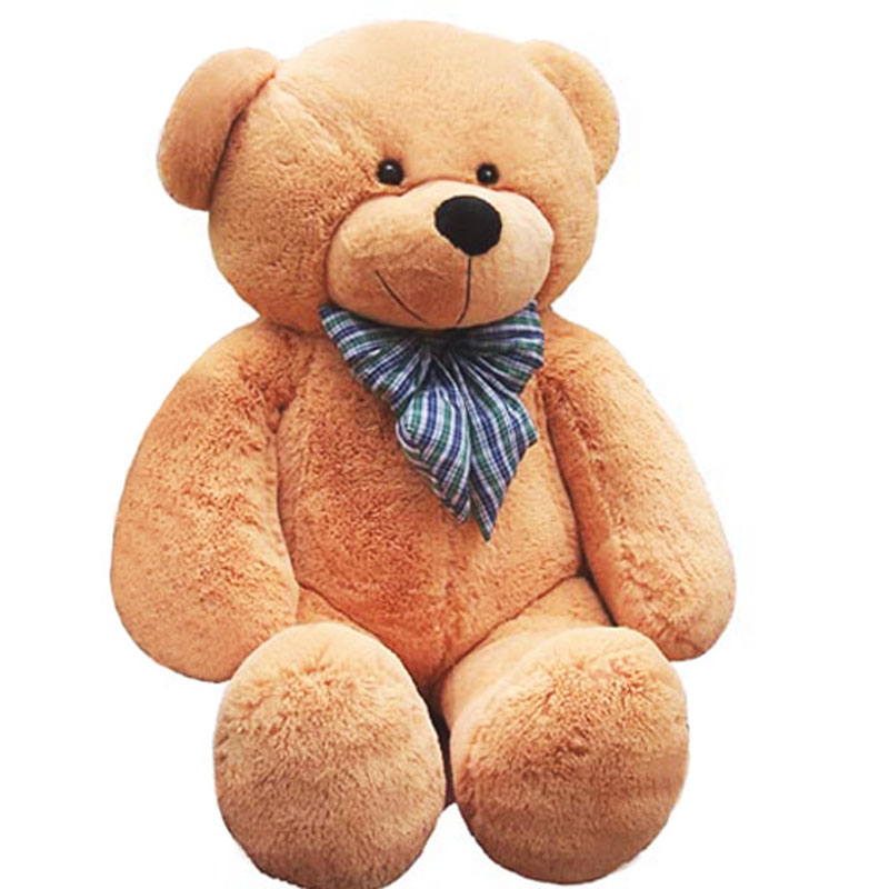 korean brown teddy bear