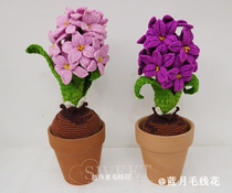 Blue Moon home wool flower pure handmade hand crochet Hyacinth small potted simulation flower desktop lynx flower gift gift