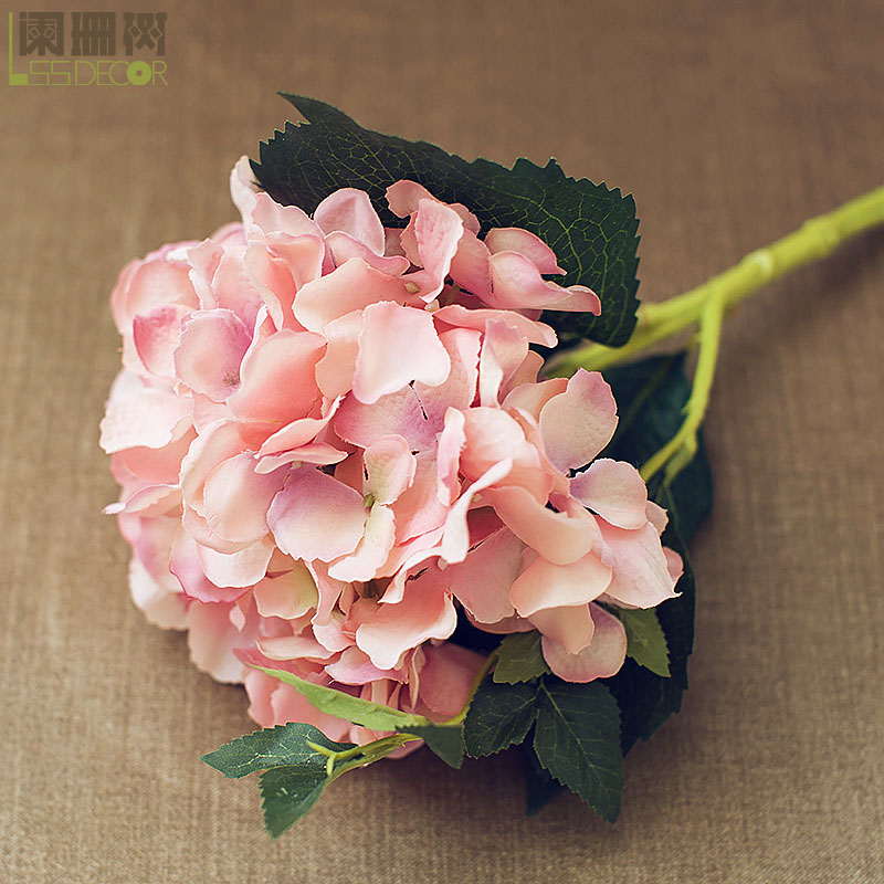 ��ɺ����������F304