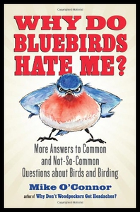 【预售】Why Do Bluebirds Hate Me?: More Answers to Common