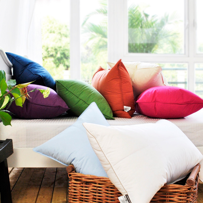 ���мҾ�hansure��ͷ1046031