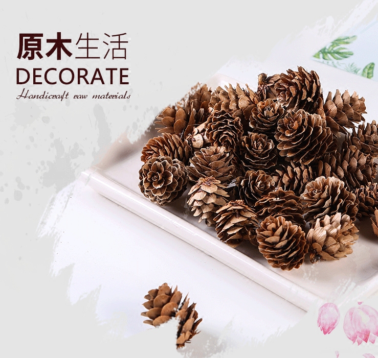 Supply of natural materials in the mountains, larch cones, pine flowers, Christmas pine cones, shooting props and decorations
