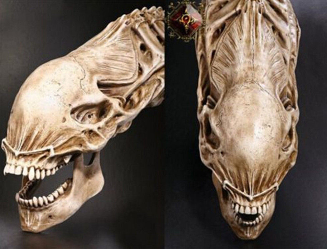 Alien horror monster ornament cos film and television props 45cm long Iron-blooded alien skull model high imitation