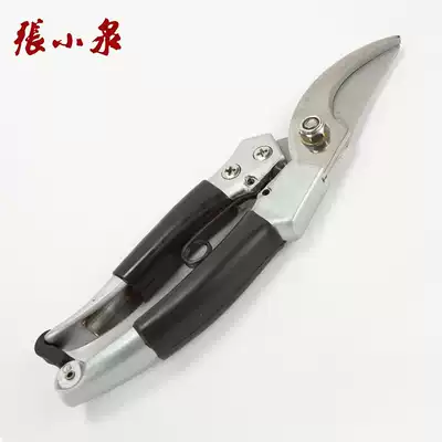 Zhang Xiaoquan Stainless Steel Garden Scissors Gardening Pruning Brand Scissors 200 ZH-102