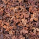 Bo vỏ arborvitae vỏ hoang dã gối Gối điền Shao Baitou UFA giúp ngủ gối mái tóc đen với số lượng lớn - Gối gối lông vũ Gối