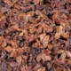 Bo vỏ arborvitae vỏ hoang dã gối Gối điền Shao Baitou UFA giúp ngủ gối mái tóc đen với số lượng lớn - Gối