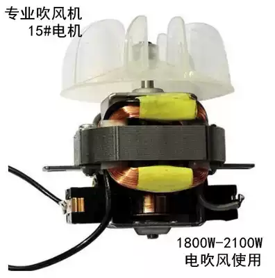 Hair salon professional high-power hair dryer motor accessories hair dryer motor accessories 15 motors with fan blades