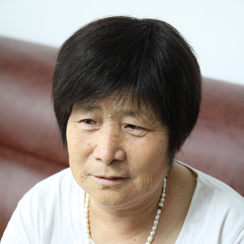 透气真发假发女 短发 妈妈假发 女 中老年假发 直发 女士假发套