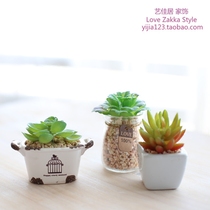 Yijiaju simulation multi-meat mini potted fake flower bonsai ceramic pudding bottle office desktop green plant decoration