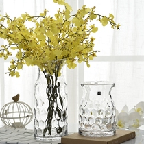 Vintage fresh handmade polka dot glass vase flower vase transparent ornaments Creative home decorations Large size