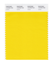 Pantone Pantone Color Card Pantone Official Flagship Store Clothing and Home 13-0633 to 13-0849TCX Cotton Version Single Color Card