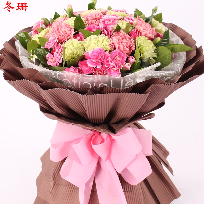 母亲节教师节探望33朵粉绿康乃馨同城定远县莆田邵武泉州重庆花店