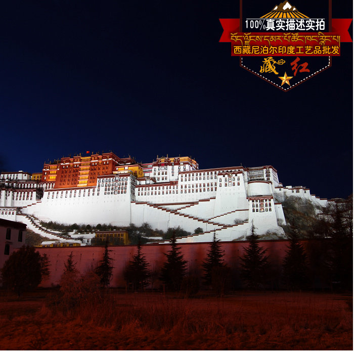 The Potala Palace Tu-Taobao under the Tibetan Night Curtain