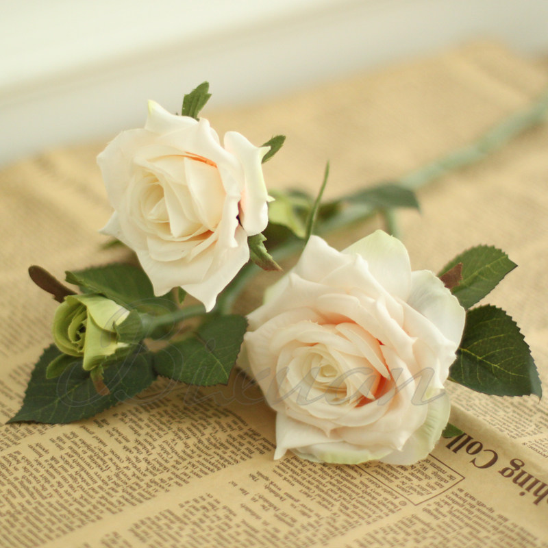 Bixuanŷʽ�߷���ɻ�