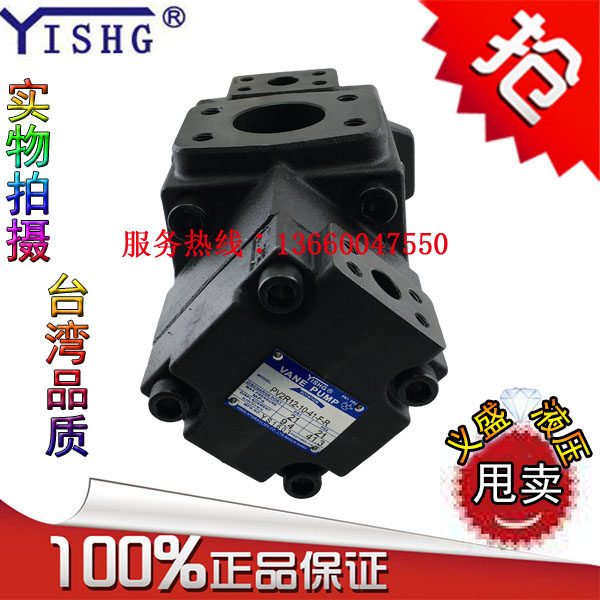 YISHG Oil pump PV2R13-6 8 10 12 14 17 19 23 25 28 31-85-F-REAA-41