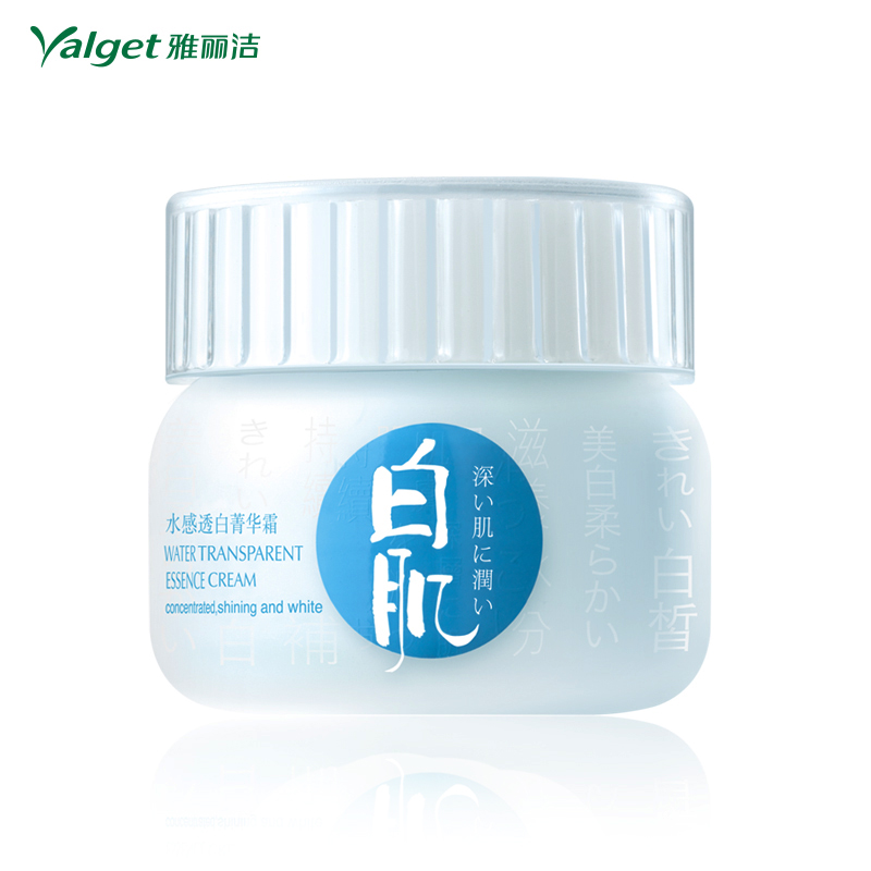 雅丽洁8杯水白肌 水感透白菁华霜50g 补水保湿滋润皙白面霜