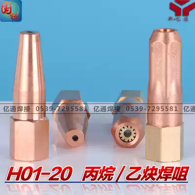 National standard H01-20 Shooting suction torch propane welding nozzle acetylene welding nozzle Gas liquefied gas plum blossom welding torch head