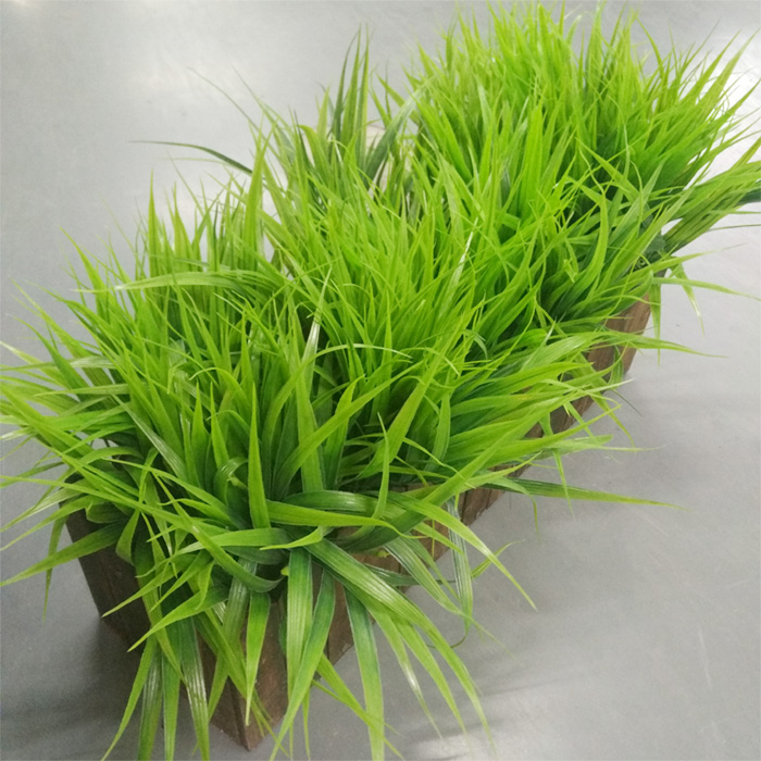 Simulated green grass Small grass Sword leaf grass Plastic flower fence flower outdoor flowers Green leaf pure grass plant