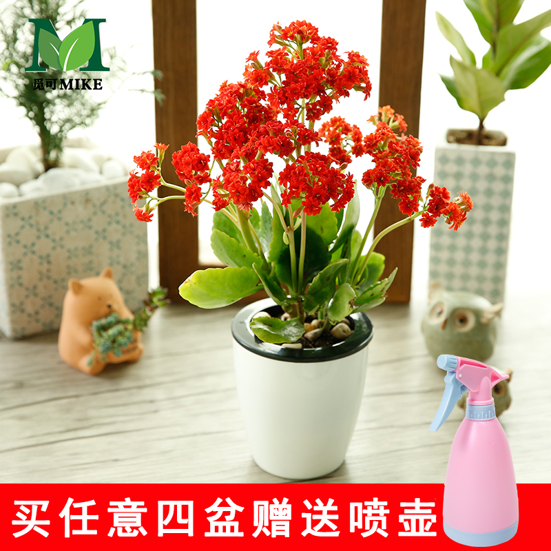 �ٿɳ��ٻ��辰