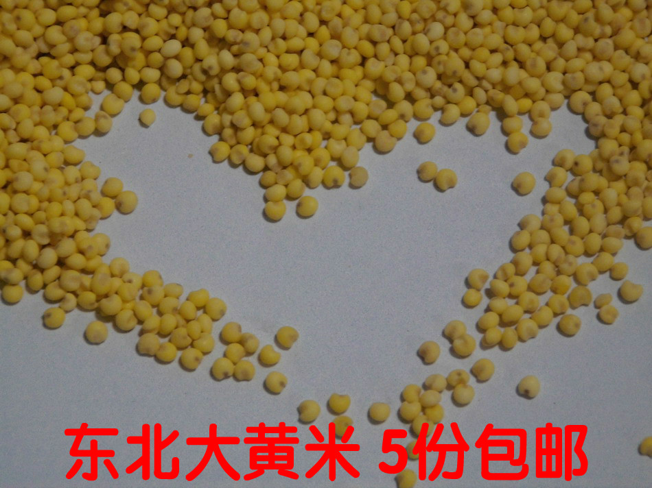 Tian's pawn: Tohoku rhubarb rice 500g sticky rice sticky rice full of 5 catties