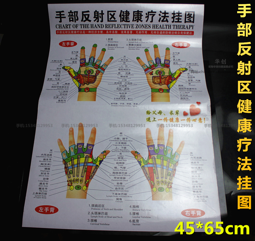 Hand Reflection Chart