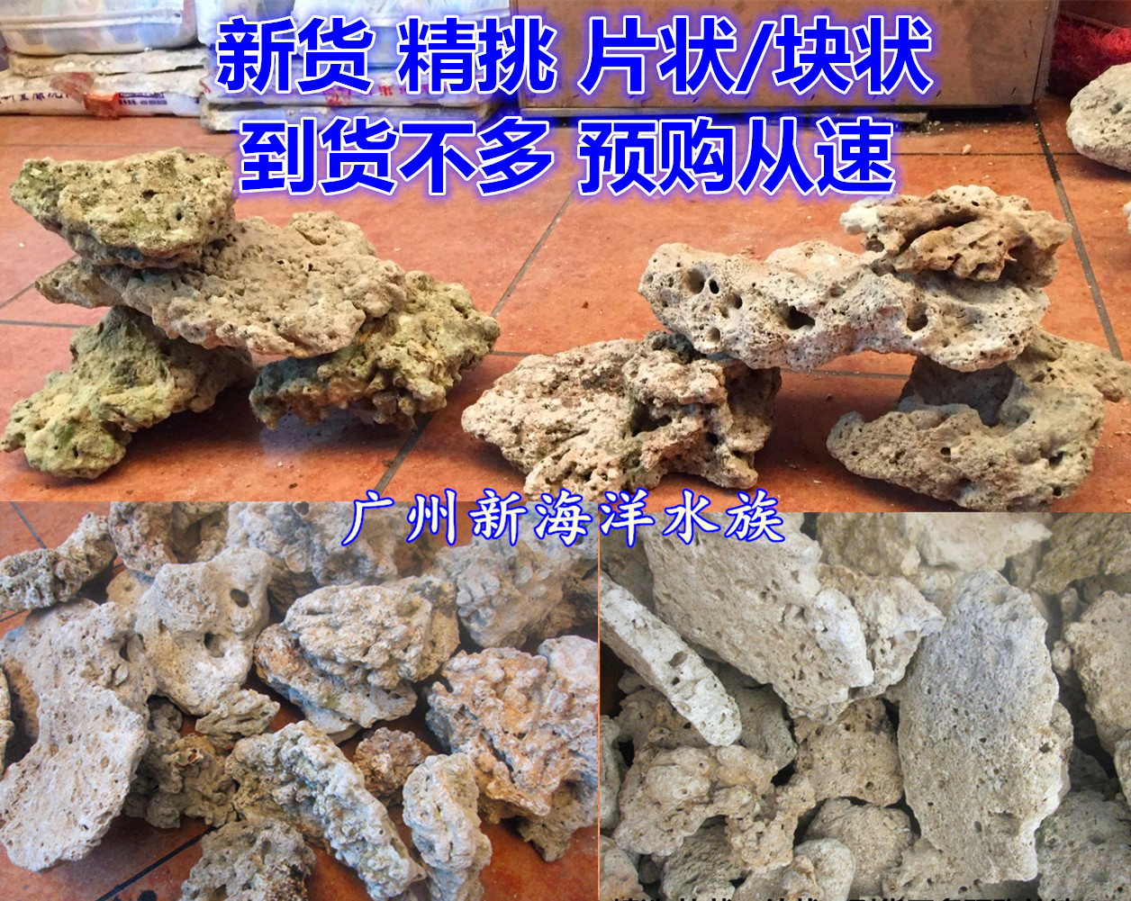 Deep Sea Dead Stone Sea Water Coral Stone Biological Stone Sea Water Coral Fish Landscape Three Lakes Cichlid Landscape 1 kg