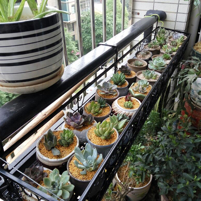 �����������һ�����XY1108