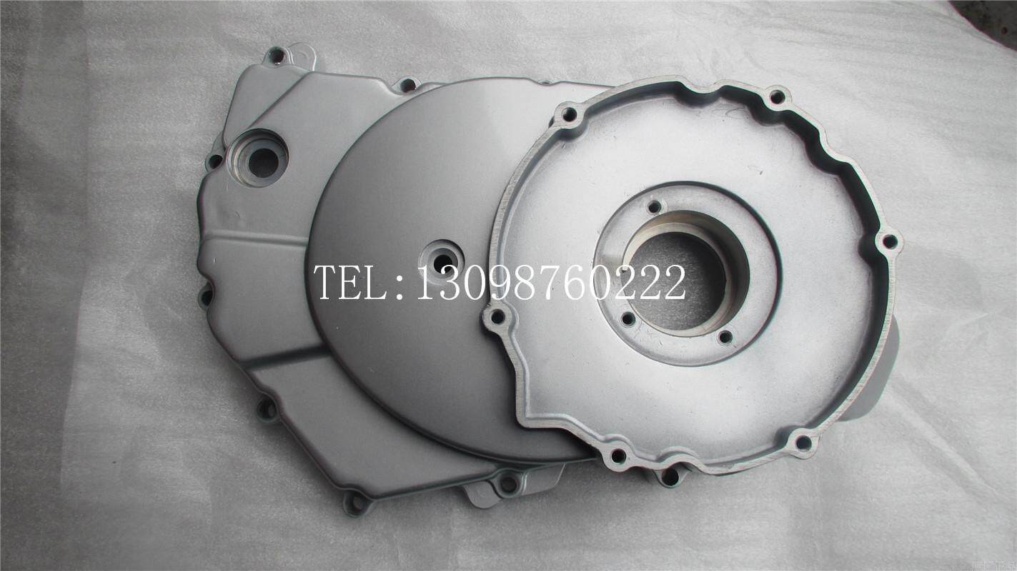 Bashan Longxin Lion Runs Erte Beauty Brand New Construction Beach Car Accessories atv400 Left Crankcase Cover