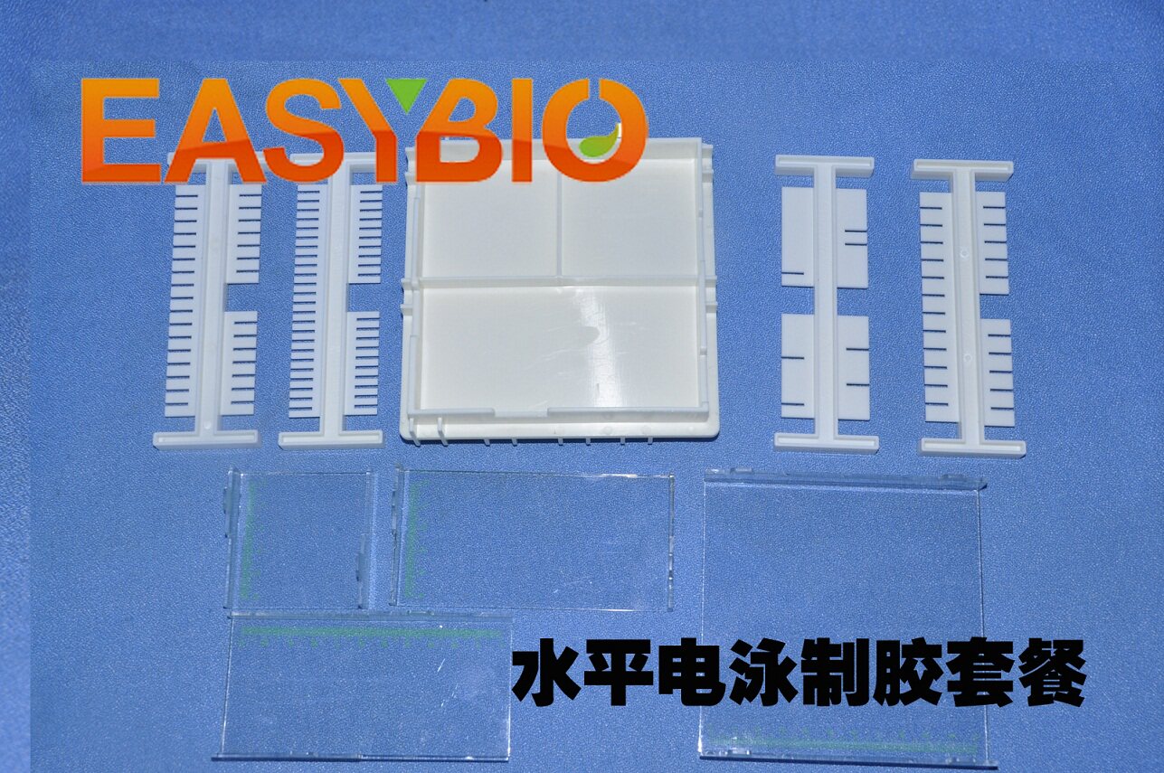 柏奥易杰 热销爆款 水平电泳制胶套餐  国产 梳子 托盘 BE6111