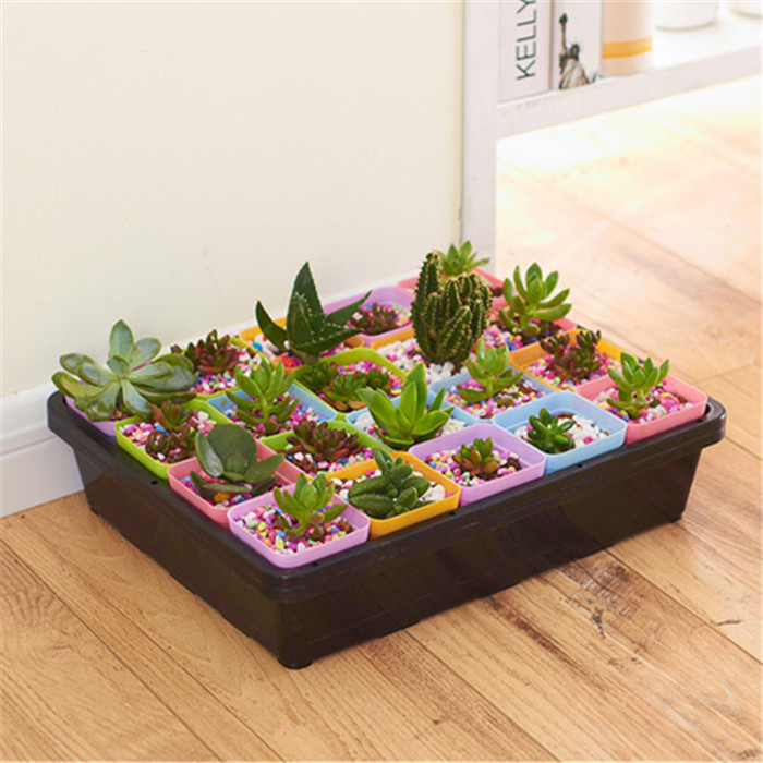 Full more than 38 meat flower pot nursery tray case seeding tray rectangular dish Sprout Basin Vegetable tray Other sale