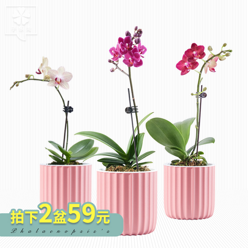 �������辰С�컨������