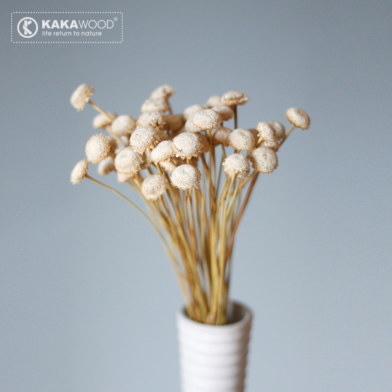 kakawood�ؾӼҾ���װ��Ʒ��Ȼֲ��ɻ���