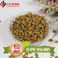 - Thức ăn cho chó trưởng thành chất lượng cao 500g chủ chó Teddy Bomeijinmaobi thức ăn gấu 5 miếng royal canin giá rẻ