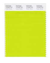 Pantone Pantone Color Card Pantone Flagship Store Clothing Home 14-0127 to 14-0740TCX Cotton Version Single Color Card