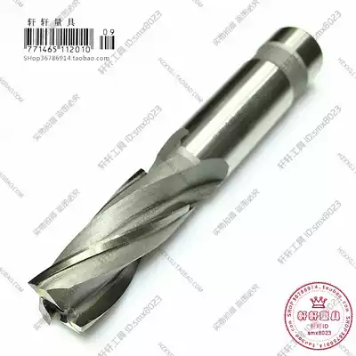 Straight shank insert alloy screw end mill tungsten steel Lenger long end mill 25 30mm YG material 4 blade