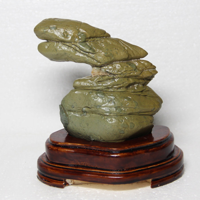 Pine Flower Stone Chiishi Mao Stone Original Stone Ornamental Stone Shaped Stone Small Boutique Handlebar Stone Figs Shaped Stone Zodiac Snake-Taobao